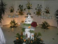 /album/a15-anos-/a12105376-1-1-jpg/